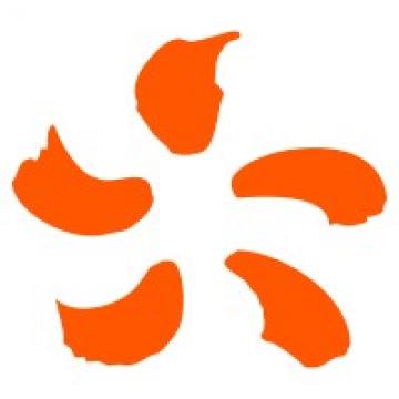 EDF - Lyon